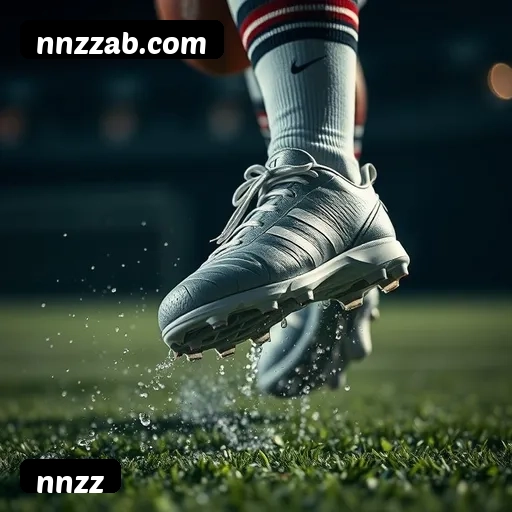 Recursos Exclusivos do App nnzz - Modo Offline, Login Biométrico